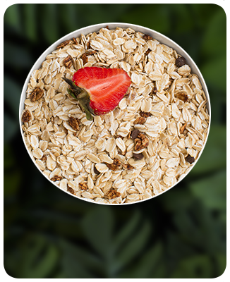 Granolas / Aveias