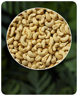 Oleaginosas